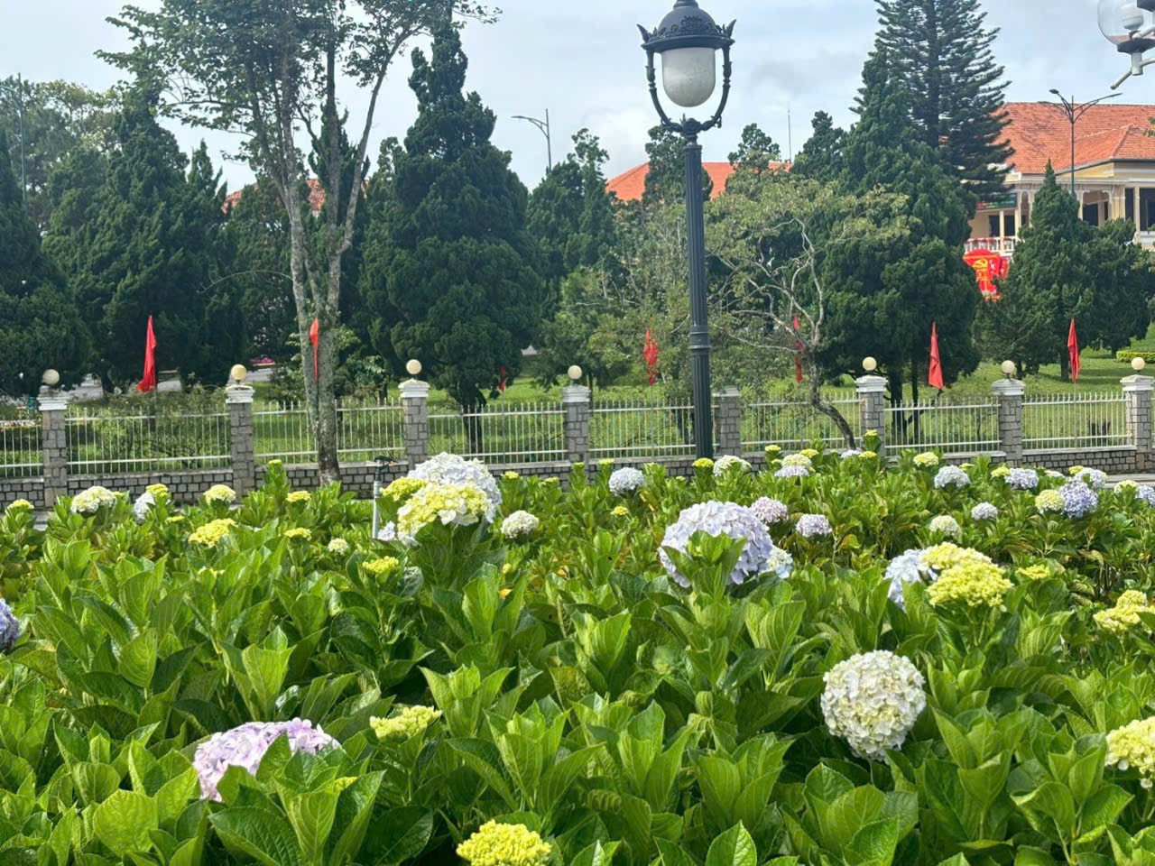 KẸT TIỀN BẤN GẤP GẤP NHÀ GẦN TRUNG TÂM Đường Trần Hưng Đạo – P. Xuân Hương – Đà Lạt Giá Chỉ 6.5 Tỷ 5