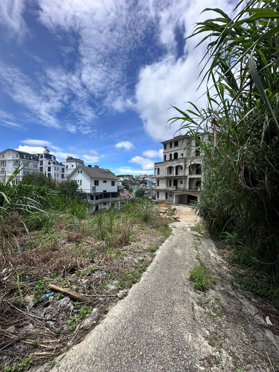 CẦN BÁN GẤP ĐẤT BIỆT THỰ ĐÀ LẠT ĐƯỜNG TÔ HIẾN THÀNH, P. XUÂN HƯƠNG 215M2 2