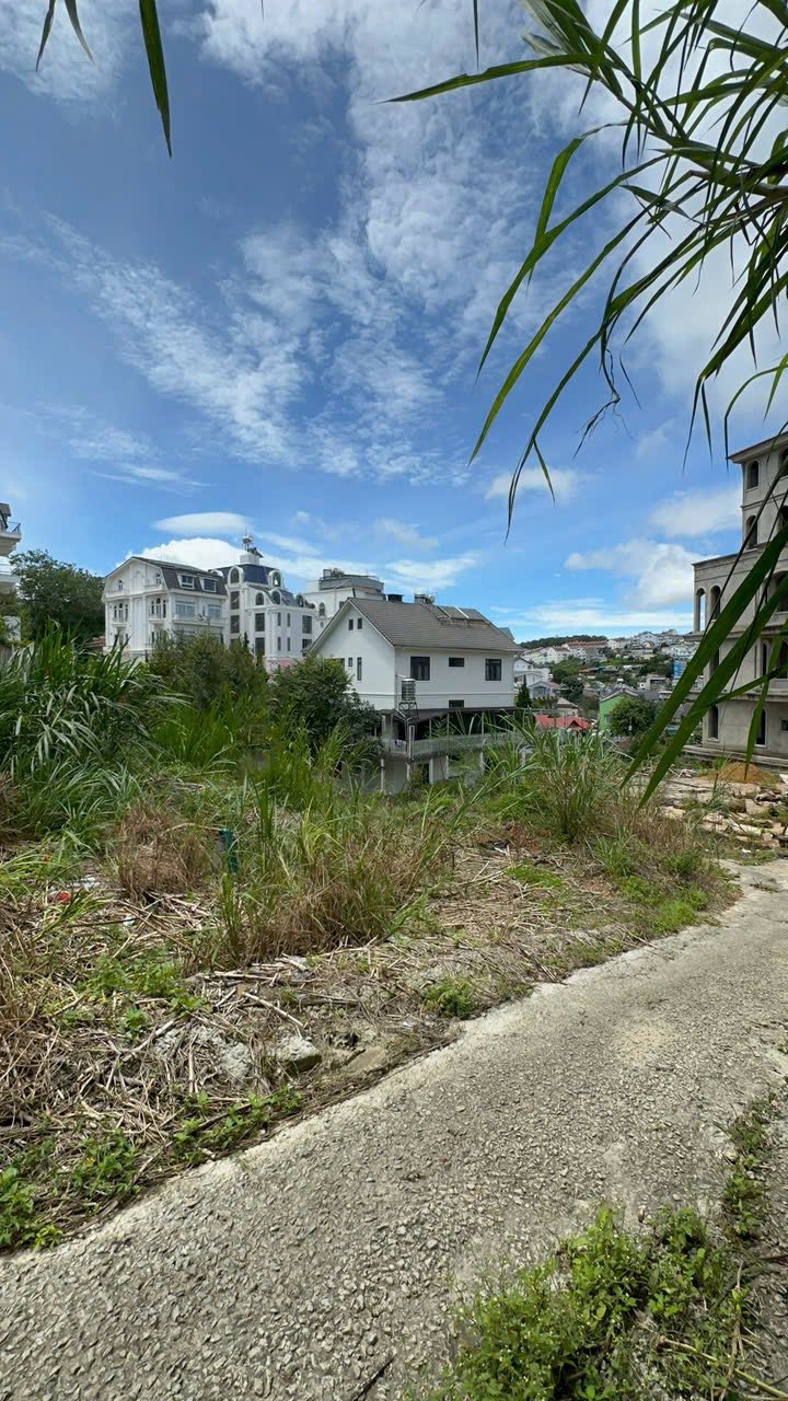 CẦN BÁN GẤP ĐẤT BIỆT THỰ ĐÀ LẠT ĐƯỜNG TÔ HIẾN THÀNH, P. XUÂN HƯƠNG 215M2