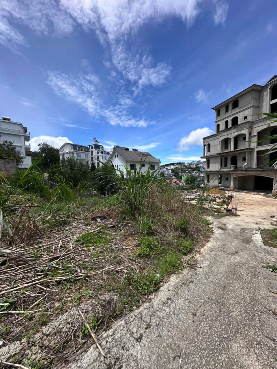 CẦN BÁN GẤP ĐẤT BIỆT THỰ ĐÀ LẠT ĐƯỜNG TÔ HIẾN THÀNH, P. XUÂN HƯƠNG 215M2 3