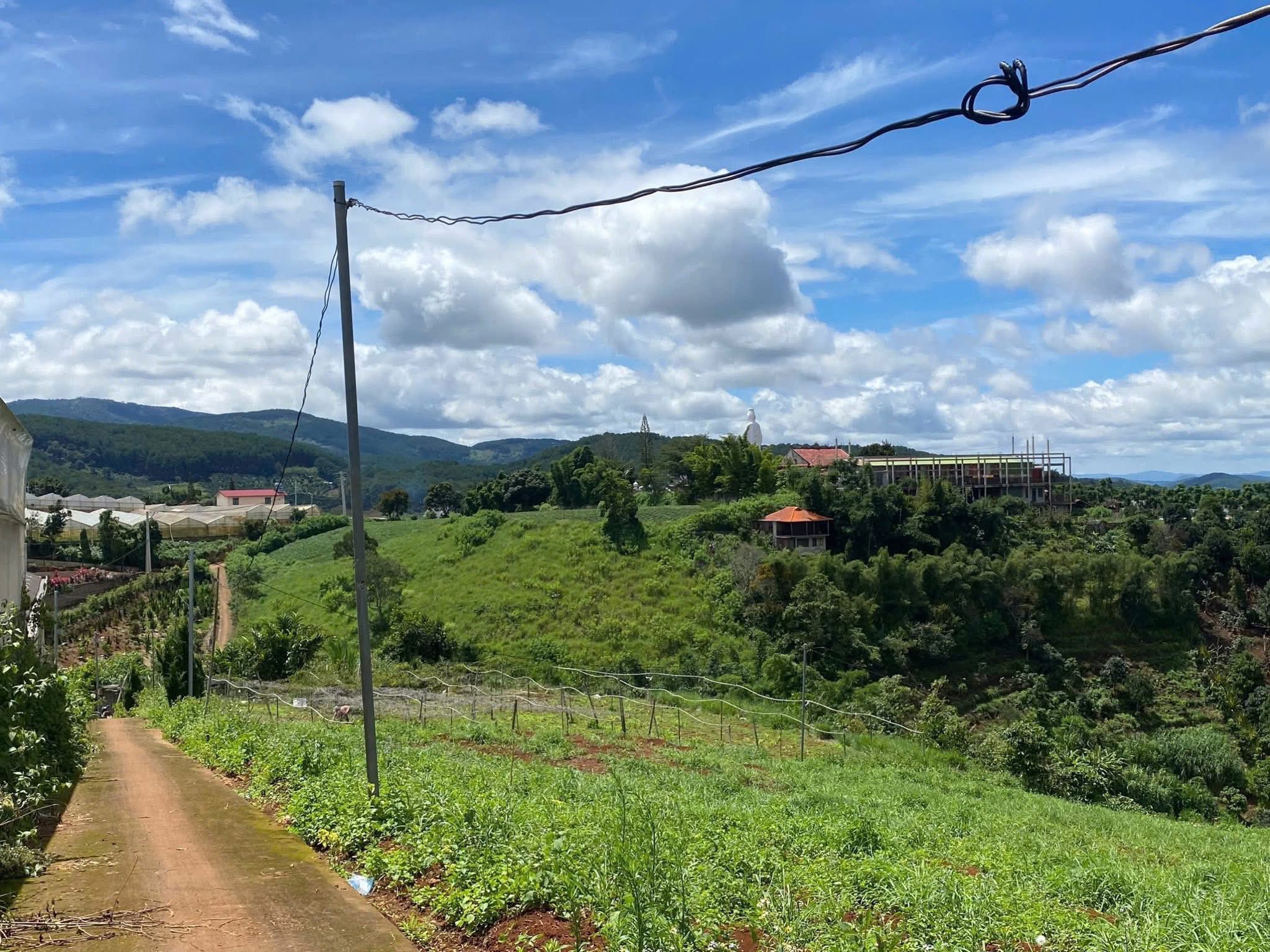 Cần Tiền Bán Gấp Lô Đất 3 Mặt Tiền View Đẹp Tại Tà Nung, Phường Cam Ly - Đà Lạt 7062m2 3