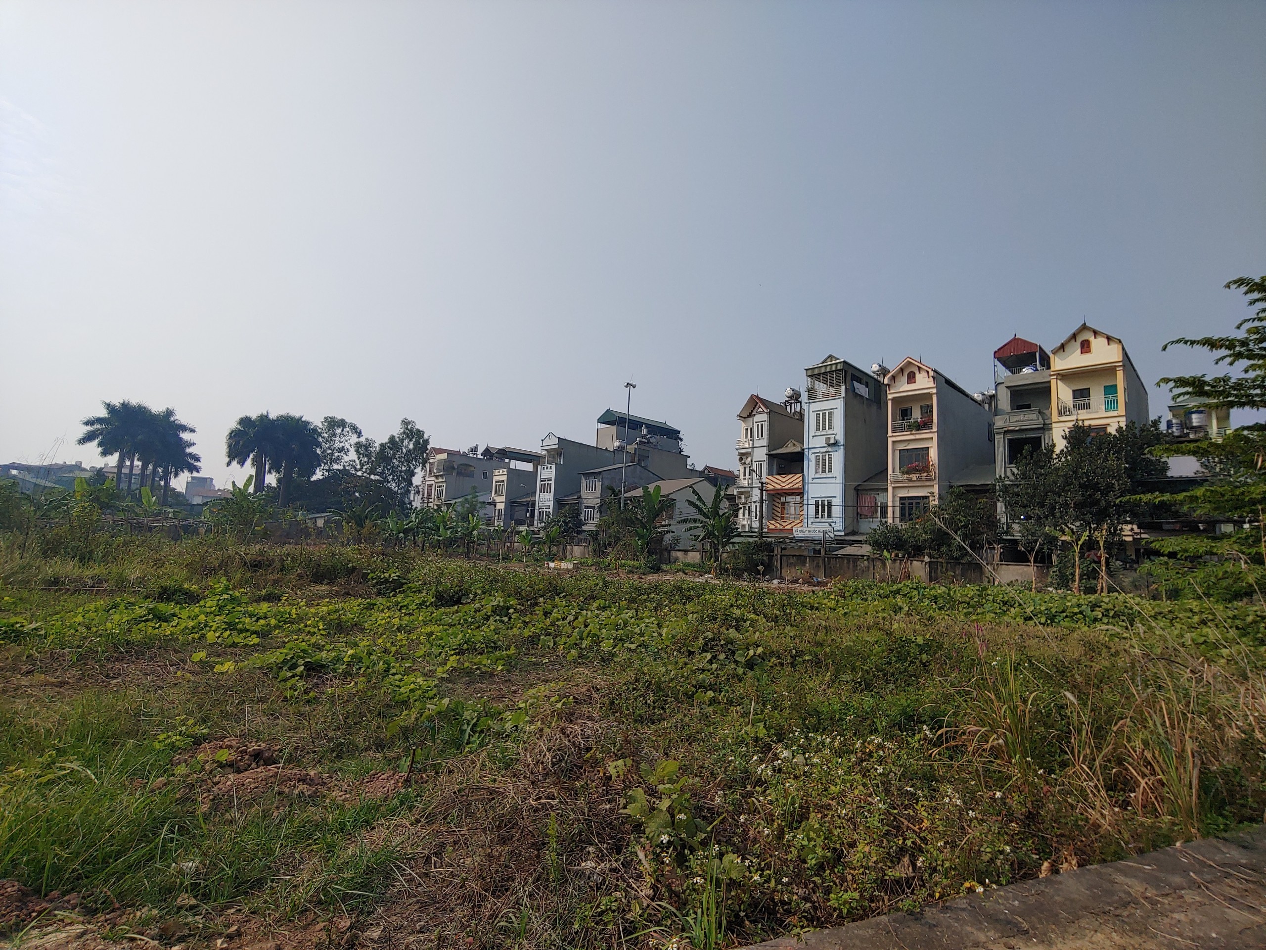 Bán đất Lai Xá - Kim Chung diện tích 56.4m2 (sdt liên hệ: 0915458886) 3