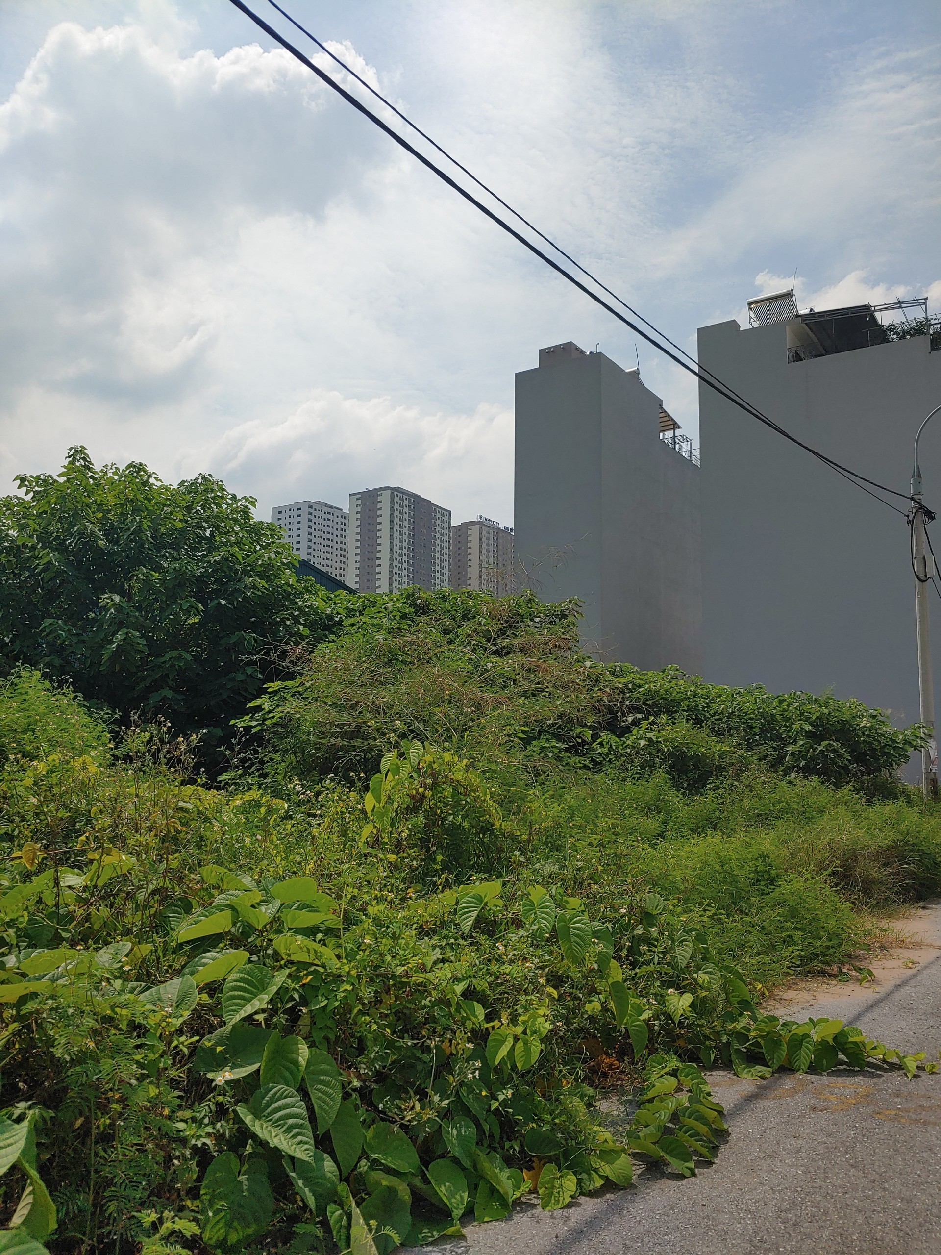 CẦN BÁN LÔ ĐẤT ĐẤU GIÁ TRŨNG TRÊN ĐÌA CÁC GẦN ĐƯỜNG 24M (0915458886) 3