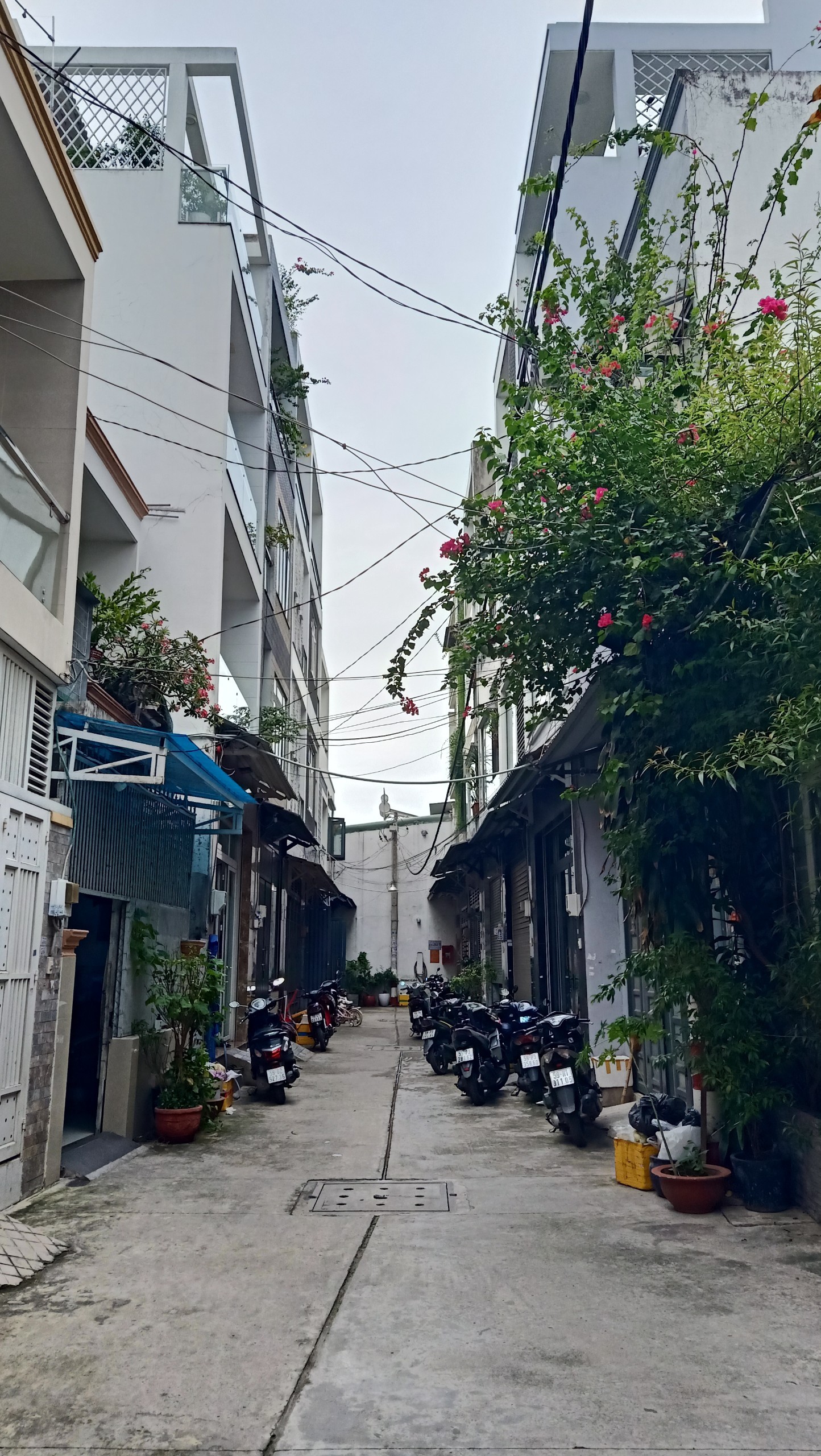 cơ hội vàng! bán nhà hẻm lê đình thám tân phú 56m2 2 tầng 3pn sổ hồng chỉ 6.2 tỷ 3