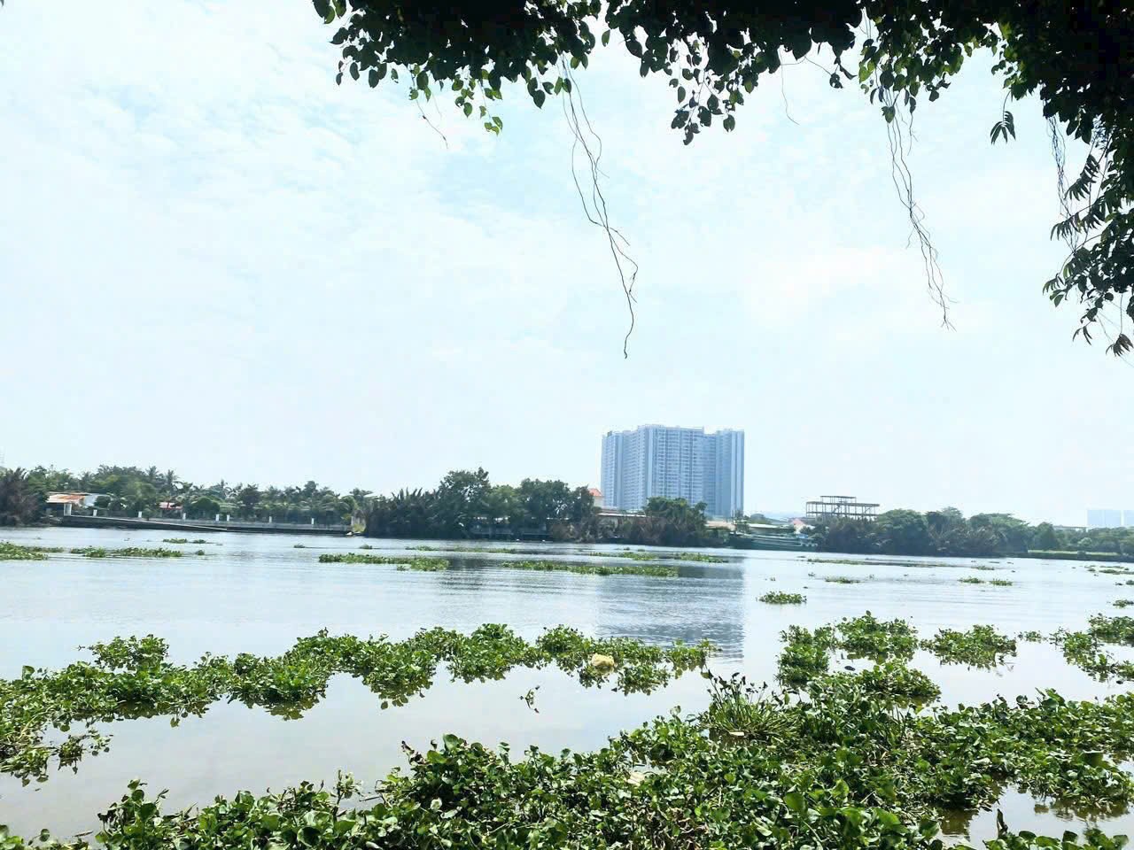 ĐẤT 2MT SÔNG SG 1.800M2 NHỊ BÌNH, HÓC MÔN, GIÁ RẺ (GẦN PHÀ AN SƠN) 3