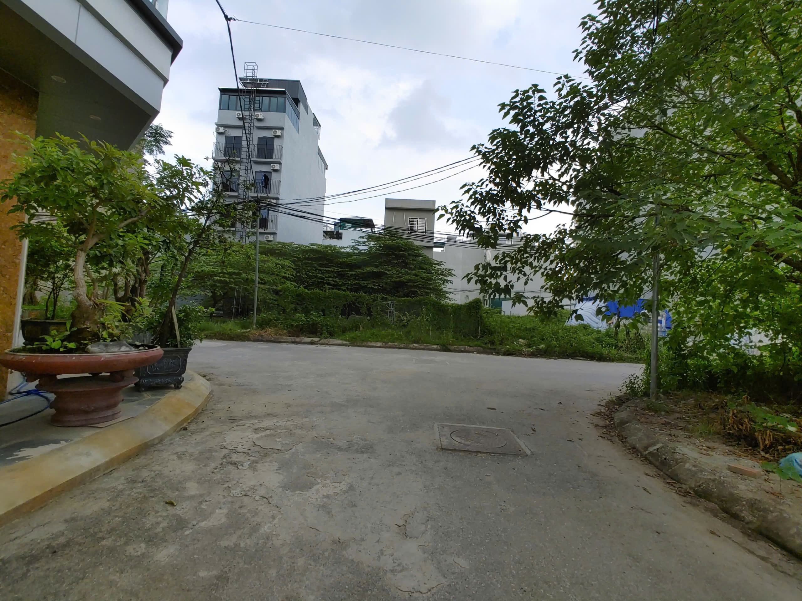 BÁN 60M2 ĐẤT DỊCH VỤ THĂNG LONG 9 – KIM CHUNG – HOÀI ĐỨC(0915458886) 2