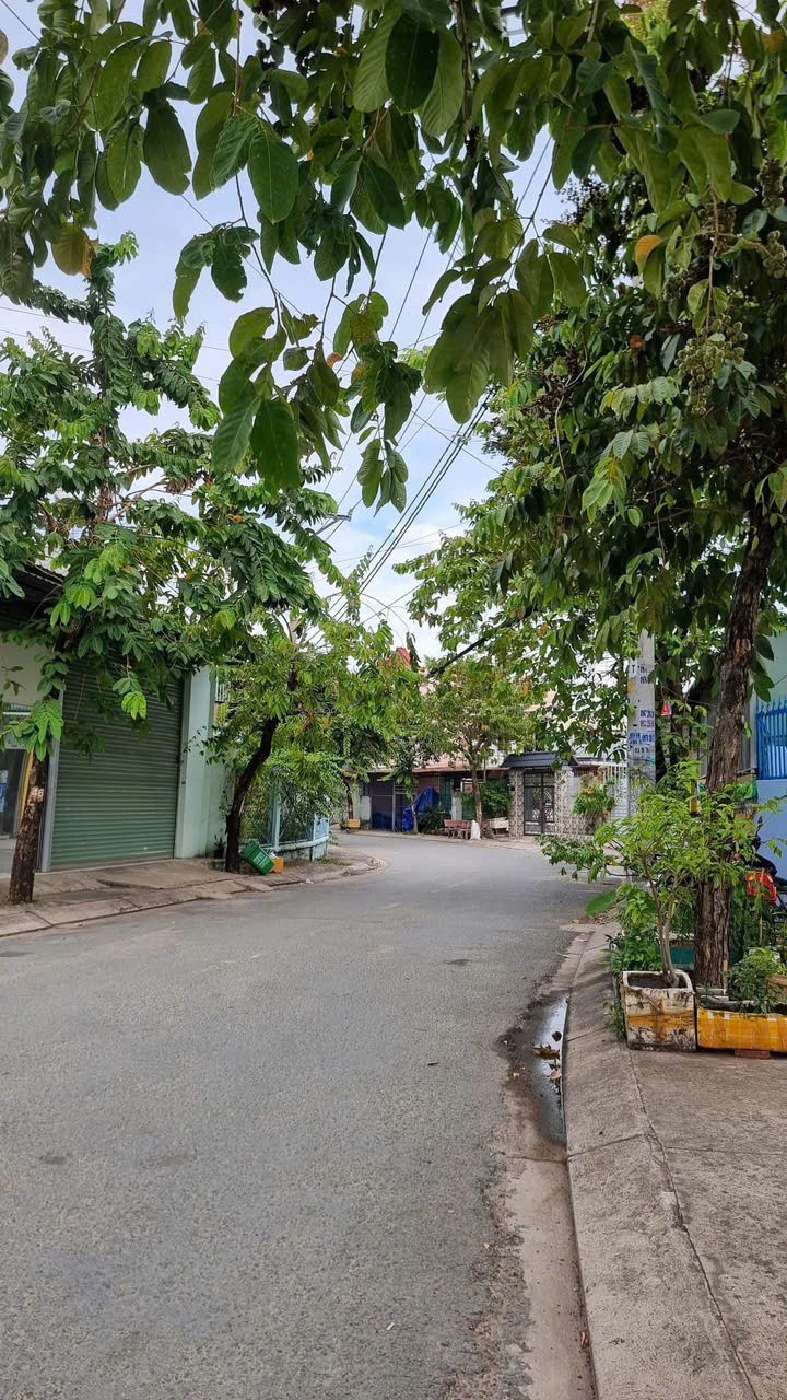 CẶP ĐẤT (6x23) MẶT TIỀN TAM ĐÔNG 2, THỚI TAM THÔN, HÓC MÔN 4