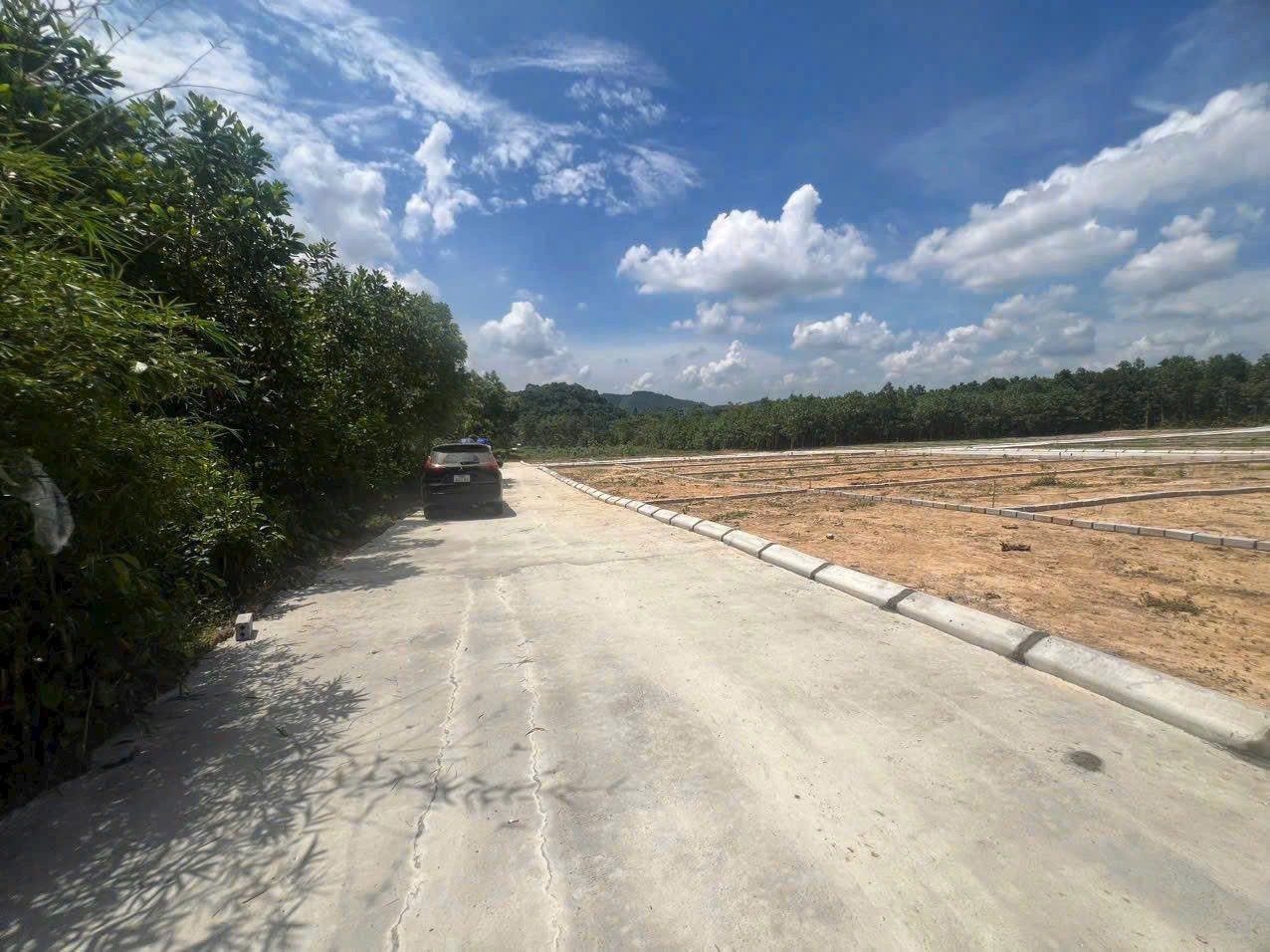 Bán mảnh đất 690m tại Thạch Thành đã tách làm 3 lô giá 195 triệu/lô 2