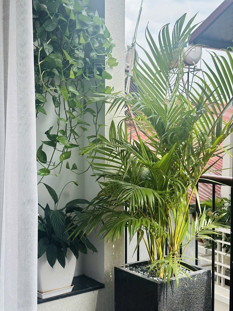 Cho thuê Căn hộ chung cư đường Liễu Giai, Phường Liễu Giai, Diện tích 55m², Giá 26 Triệu/tháng 10