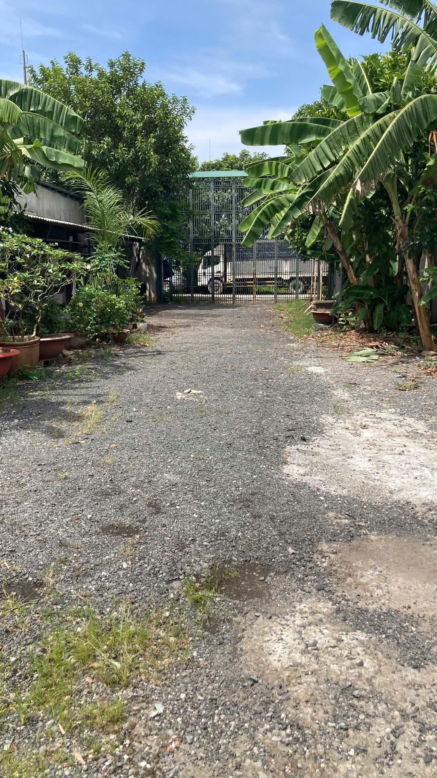 BÁN (1.500M²) ĐẤT MT XUÂN THỚI SƠN 16 – ĐƯỜNG XE TẢI LỚN, HÓC MÔN 2