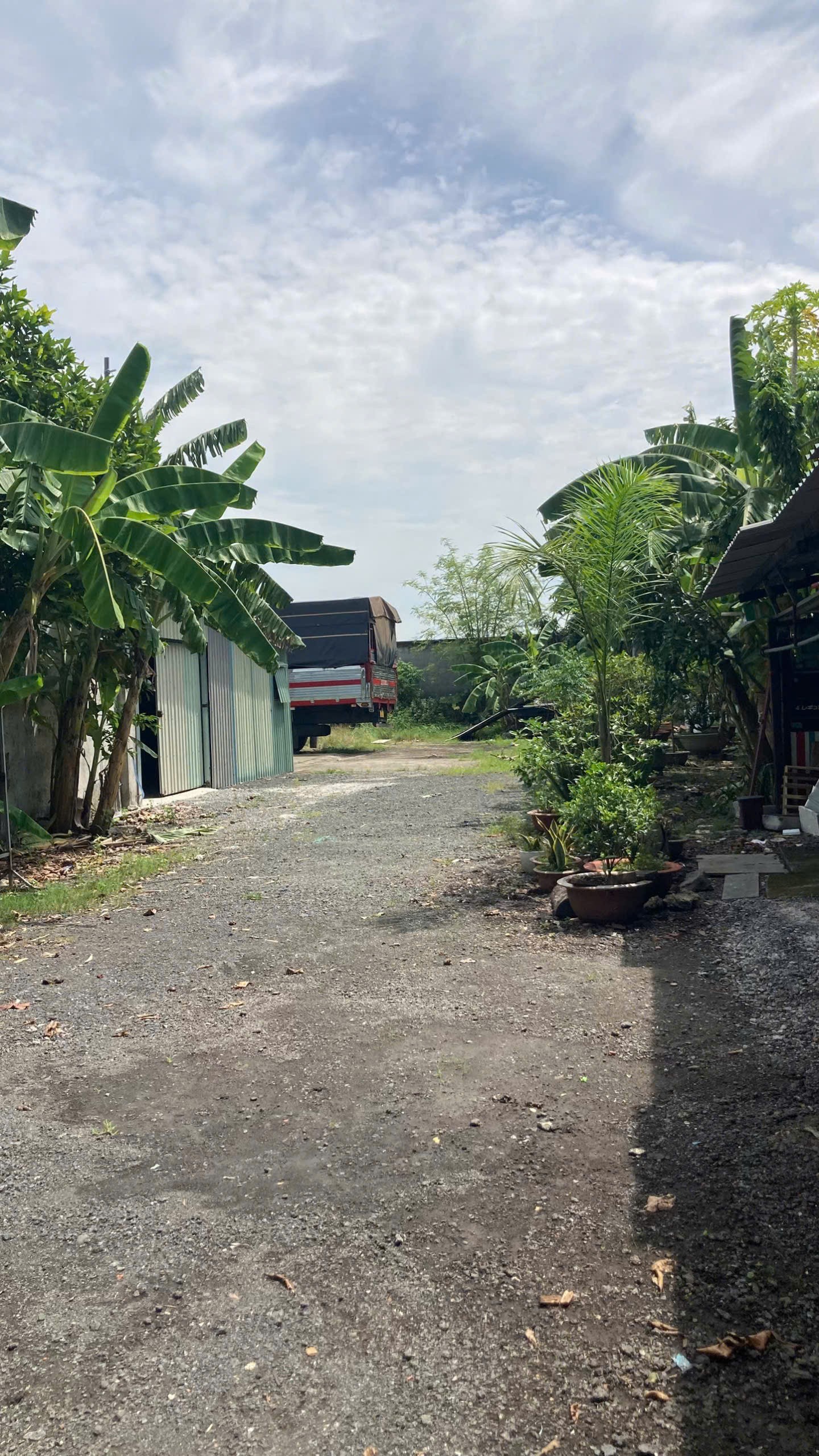 BÁN (1.500M²) ĐẤT MT XUÂN THỚI SƠN 16 – ĐƯỜNG XE TẢI LỚN, HÓC MÔN 4
