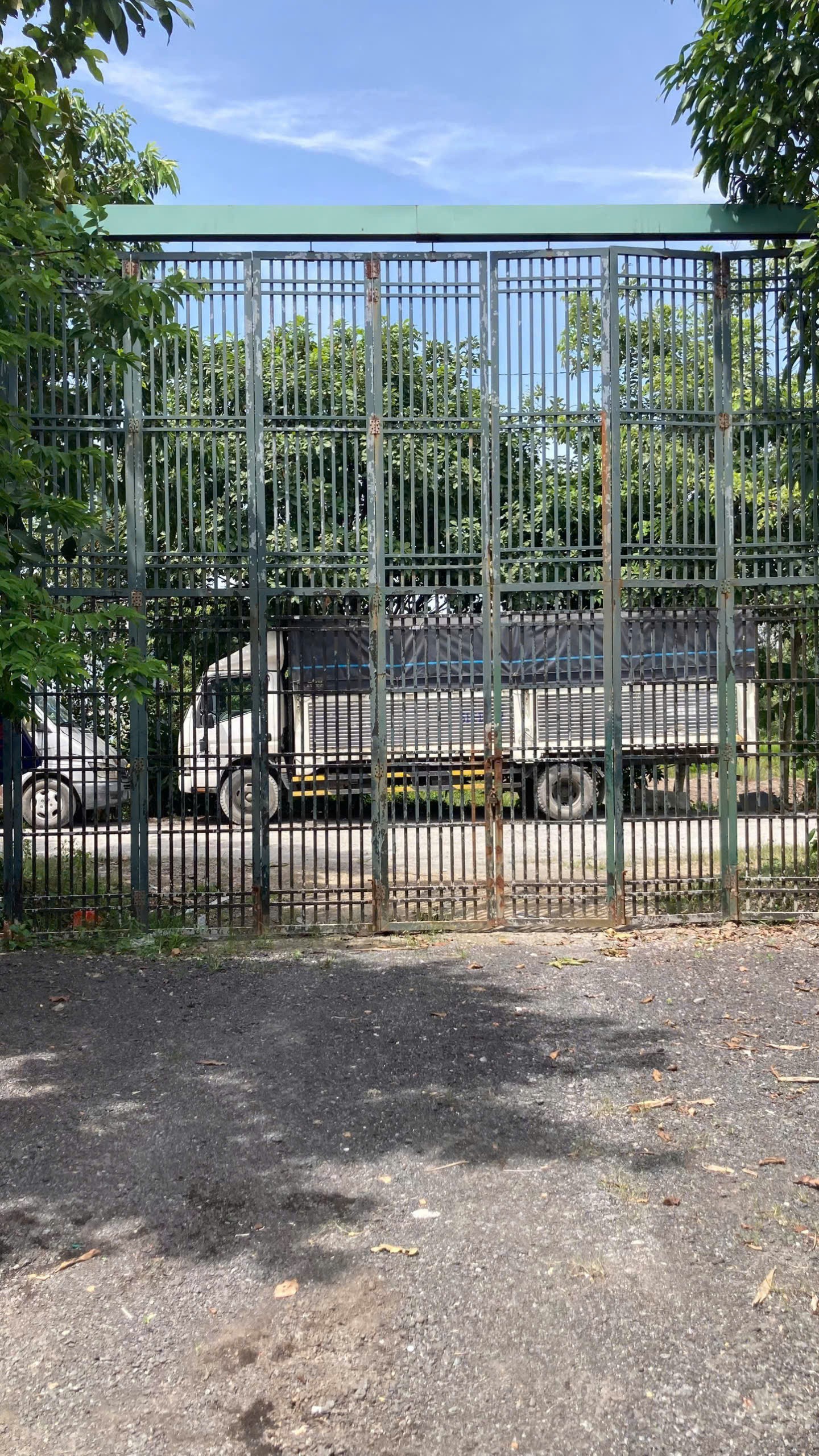 BÁN (1.500M²) ĐẤT MT XUÂN THỚI SƠN 16 – ĐƯỜNG XE TẢI LỚN, HÓC MÔN 5