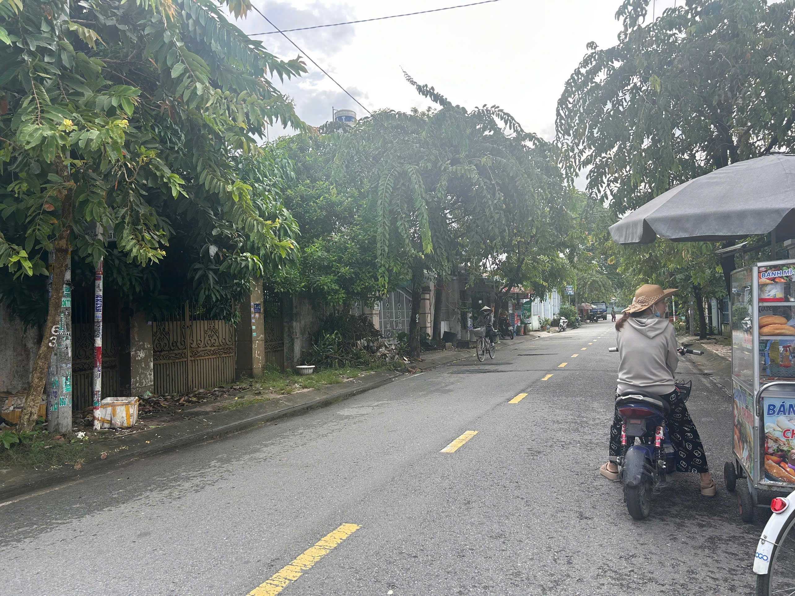 BÁN NHÀ + XƯỞNG MT TRẦN THỊ CÁT (BÀ ĐIỂM 11), HÓC MÔN GIÁ 14,5 TỶ 4