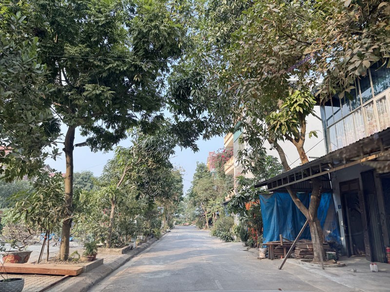 Chính chủ bán đất 80m2 TĐC Kiêu Kỵ, Gia Lâm. Đất vuông đẹp, cách Vin 123 Chỉ 1,5km 3