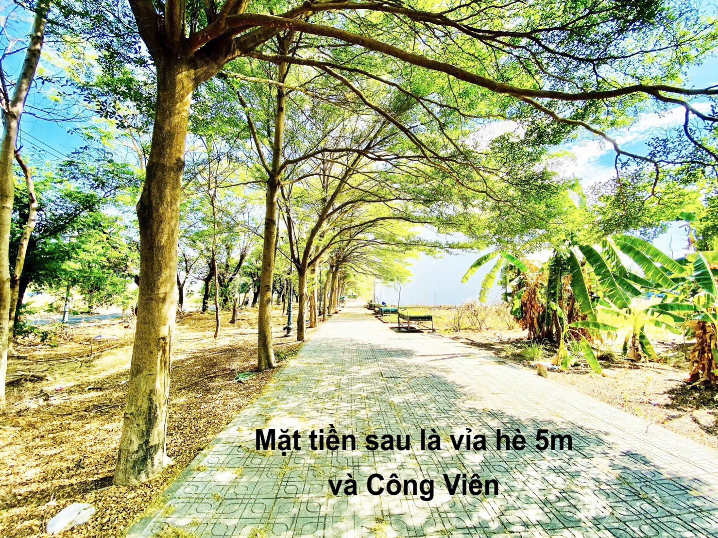 Cần bán Đất Phường Cát Lái, Quận 2, Diện tích 140m², Giá 60 Triệu/m² 4