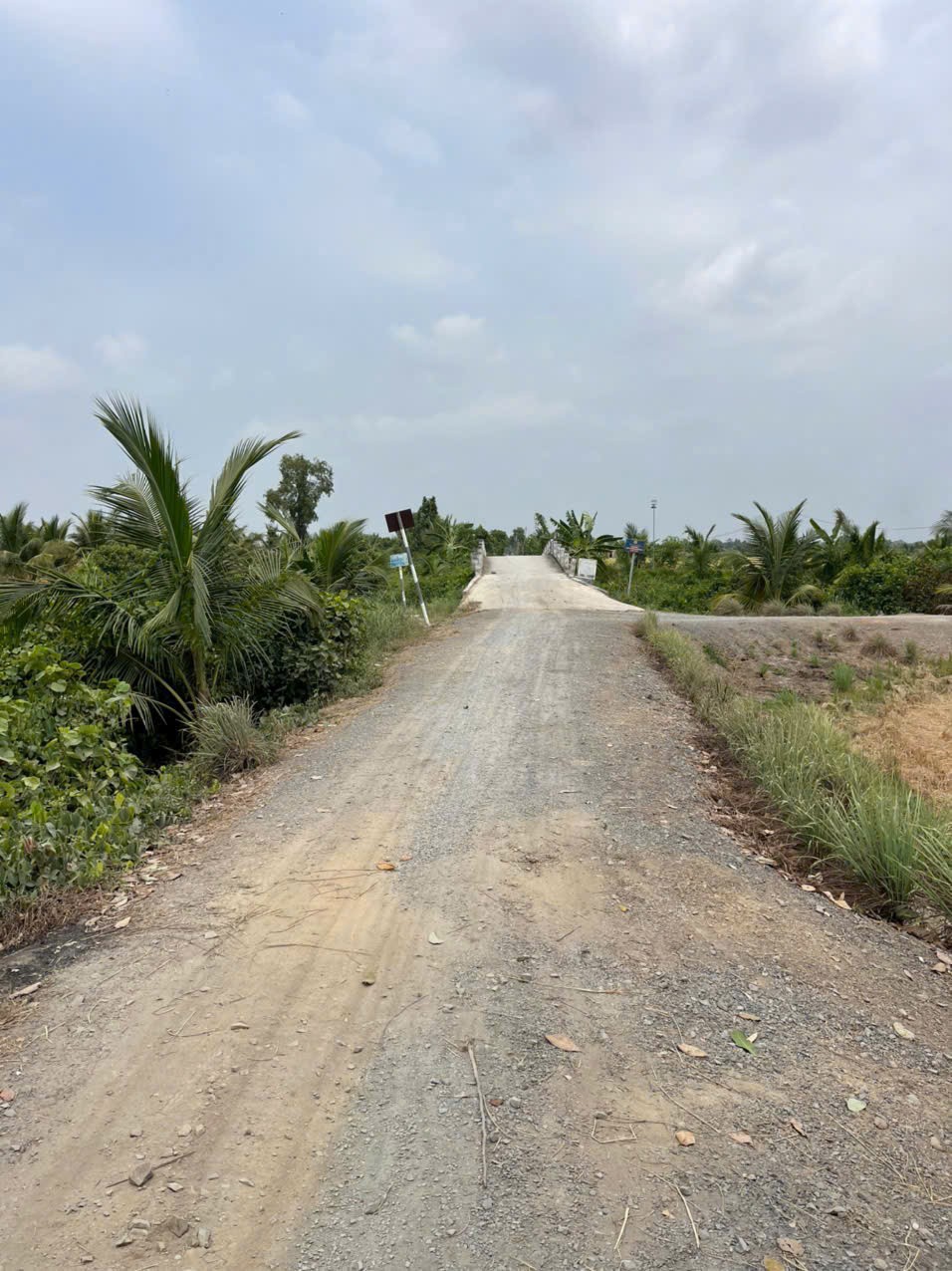 4871m2 đất lúa cạnh đường Vành Đai 3, xã Tân Hòa, Bến Lức, Long An giá 3,9 tỷ 2