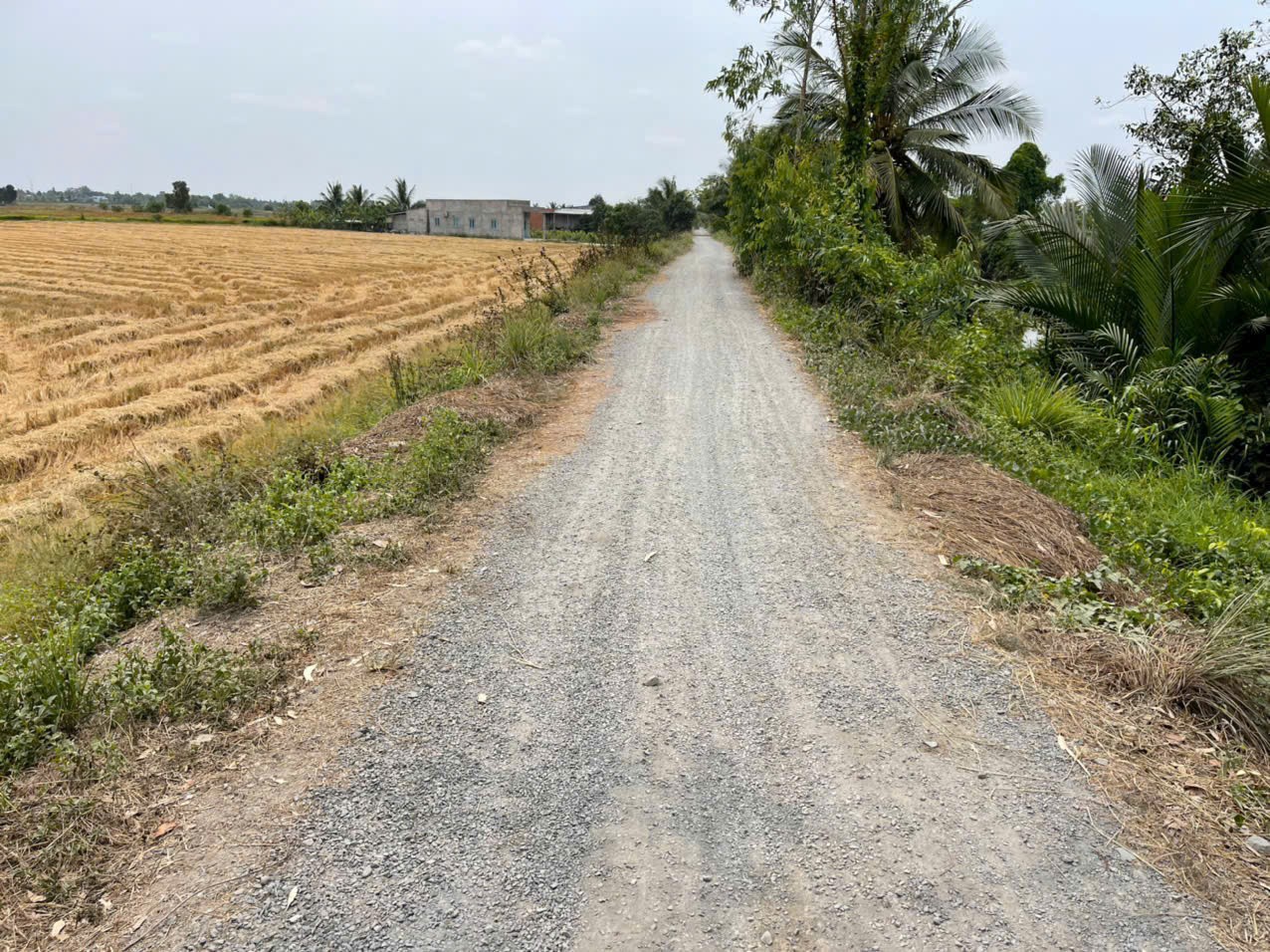4871m2 đất lúa cạnh đường Vành Đai 3, xã Tân Hòa, Bến Lức, Long An giá 3,9 tỷ 3