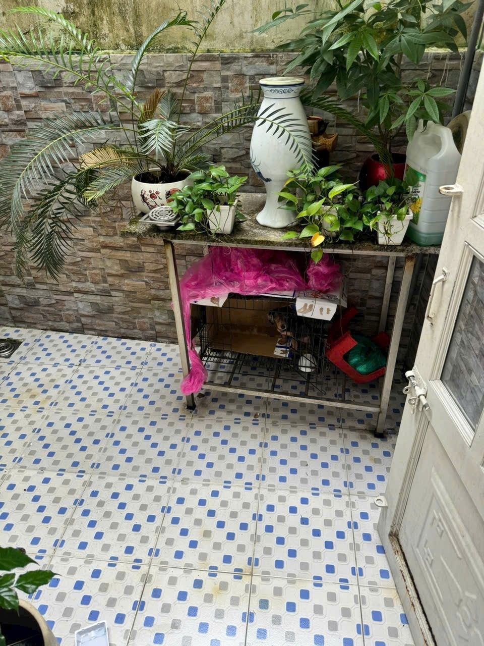 Cần bán Nhà mặt tiền Phường Phước Bình, Quận 9, Diện tích 90m², Giá 10.7 Tỷ 3