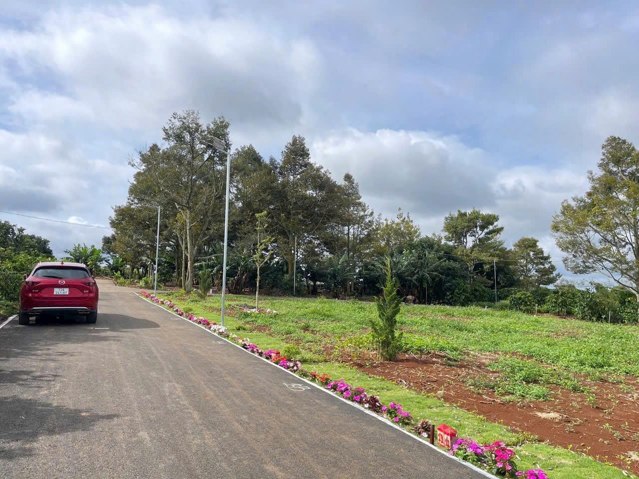 Bán đất xã liên hiệp đức trọng 970 triệu- sổ riêng đất xây dựng