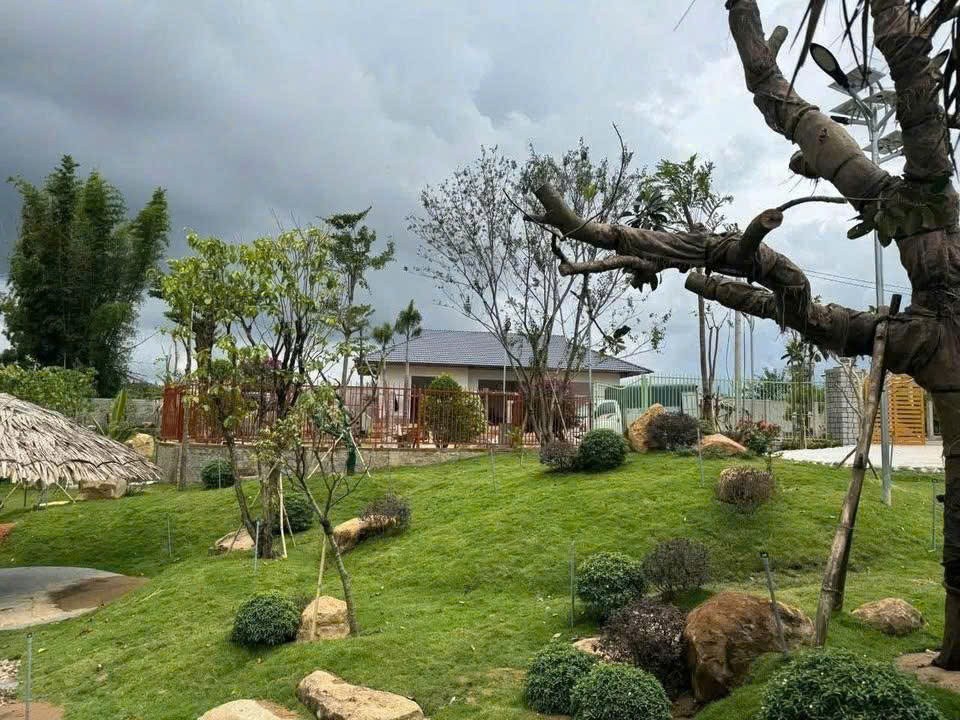 BÁN ĐẤT – BÁN NHÀ KHU DÂN CƯ MAI ANH ĐÀO – PHÚ HỘI – ĐỨC TRỌNG 2