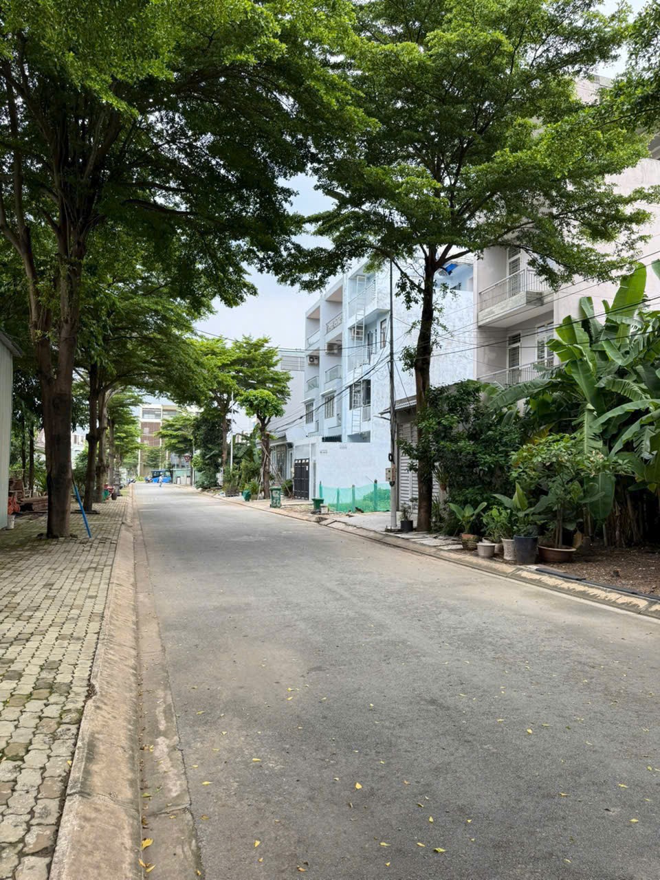 Cần bán Đất Phường Phước Long B, Quận 9, Diện tích 237m², Giá 145 Triệu/m² 3