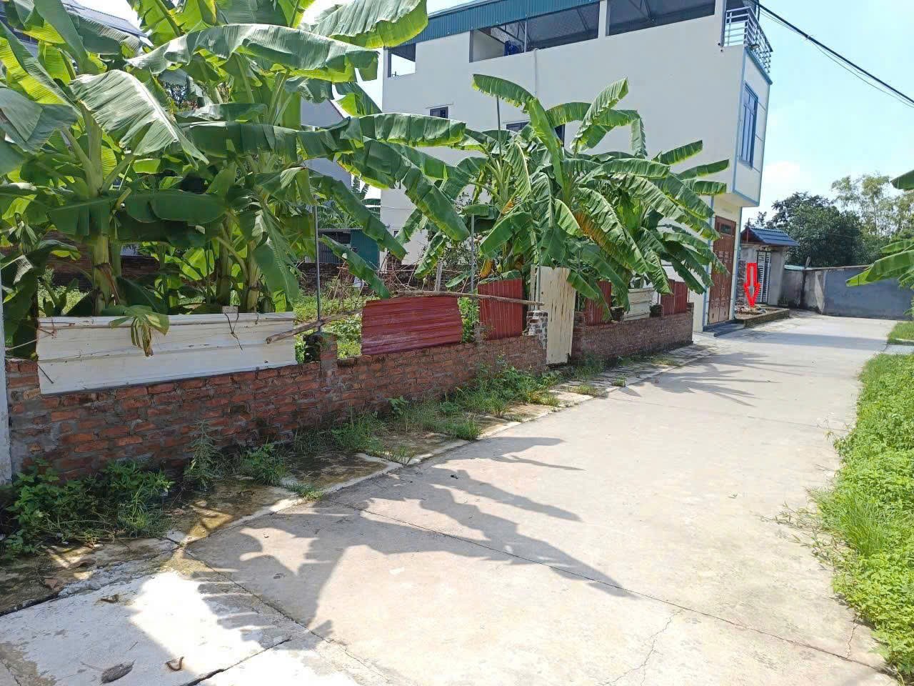 Bán đất Phù Trì, Kim Hoa, Mê Linh. Đường rộng, oto ra vào. Gần đường vành đai 4 3