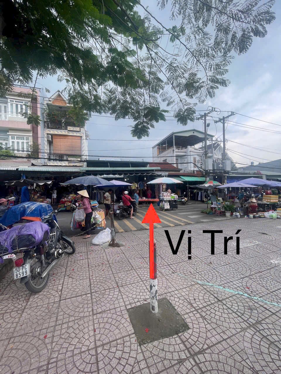 Cần bán Nhà mặt tiền Phường Long Thạnh Mỹ, Quận 9, Diện tích 184m², Giá 015 Tỷ