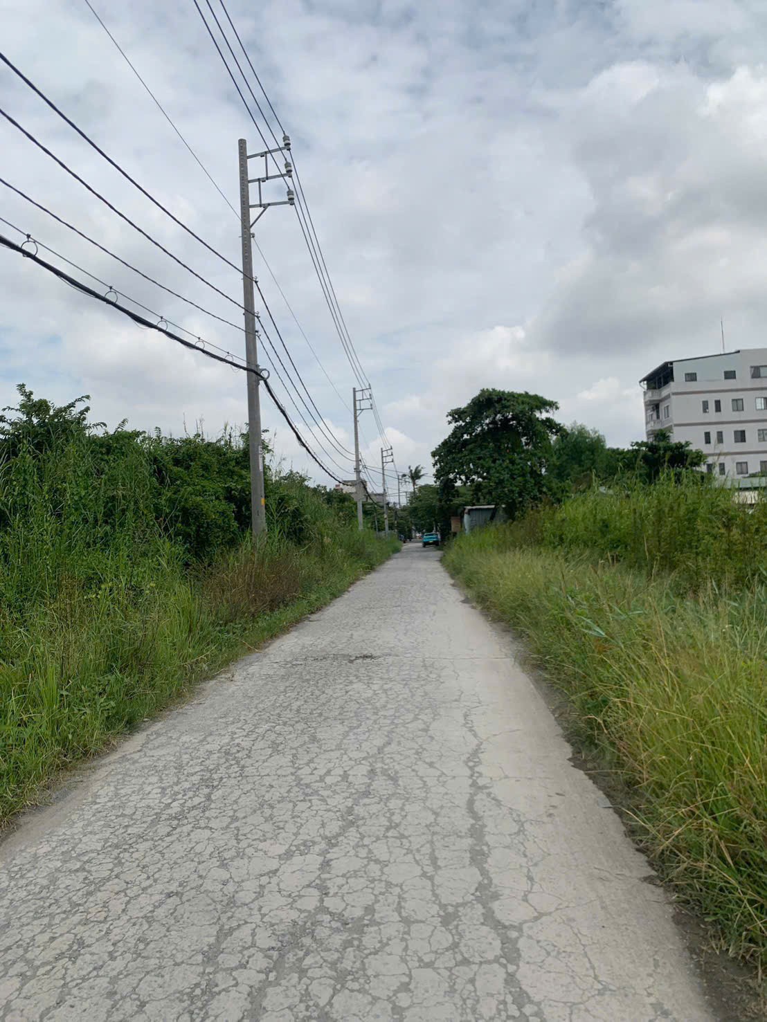 ĐẤT 2MT SÔNG SG 1.800M2 NHỊ BÌNH, HÓC MÔN, GIÁ RẺ (GẦN PHÀ AN SƠN) 4