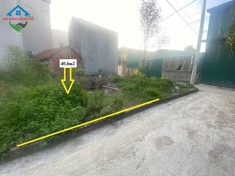 Bán đất Quan Nhân Tam Hưng Thanh Oai – ô tô thông, 40,6m2 giá Đầu Tư 2