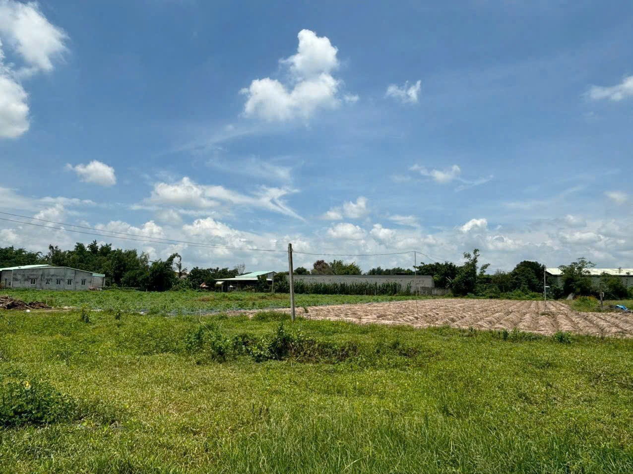 18220m2 đất (617m2 thổ cư) khu quy hoạch chuyển đổi SKC xã Lộc Giang, Đức Hòa giá 13,5 tỷ 2