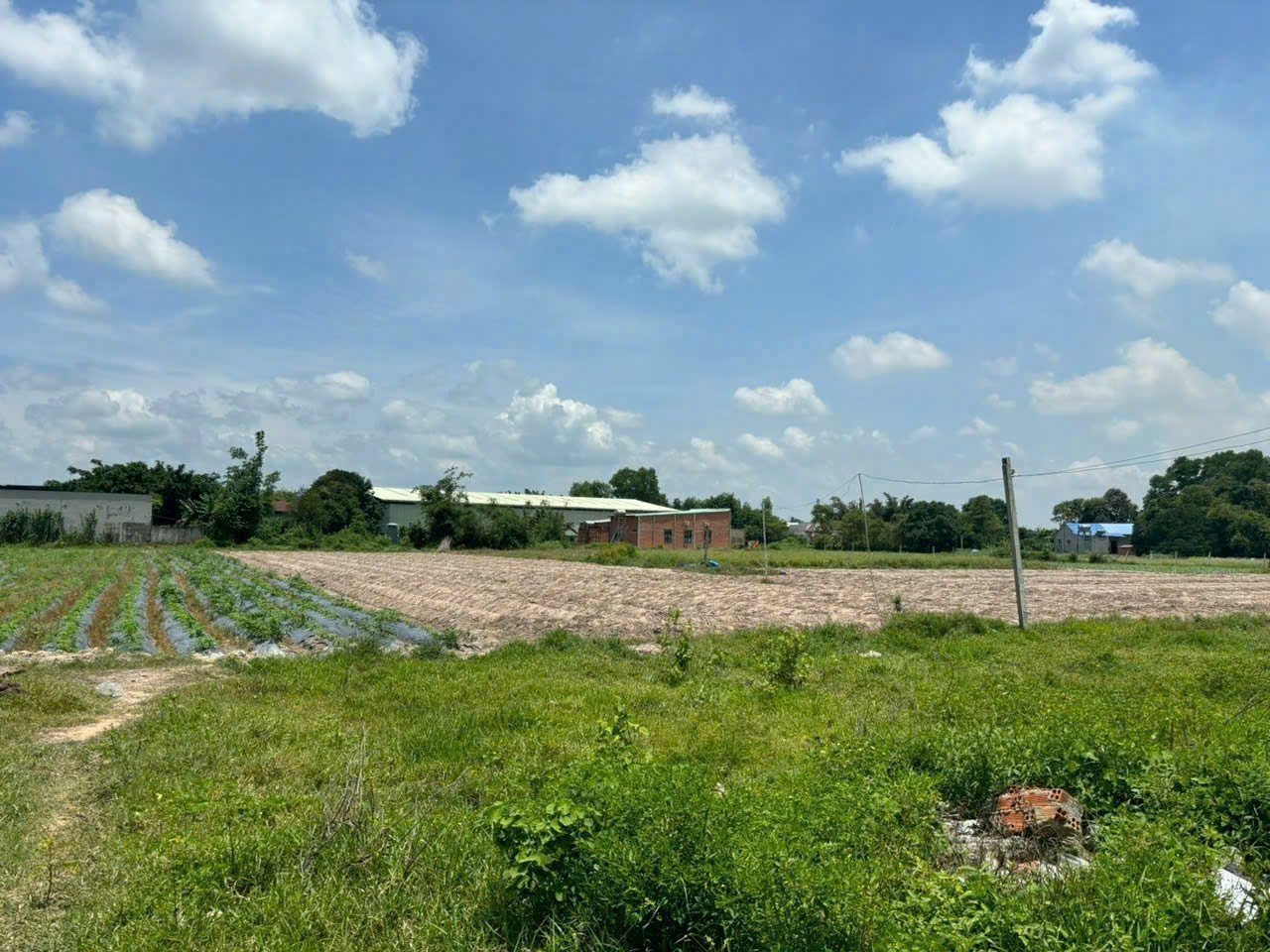 18220m2 đất (617m2 thổ cư) khu quy hoạch chuyển đổi SKC xã Lộc Giang, Đức Hòa giá 13,5 tỷ 4