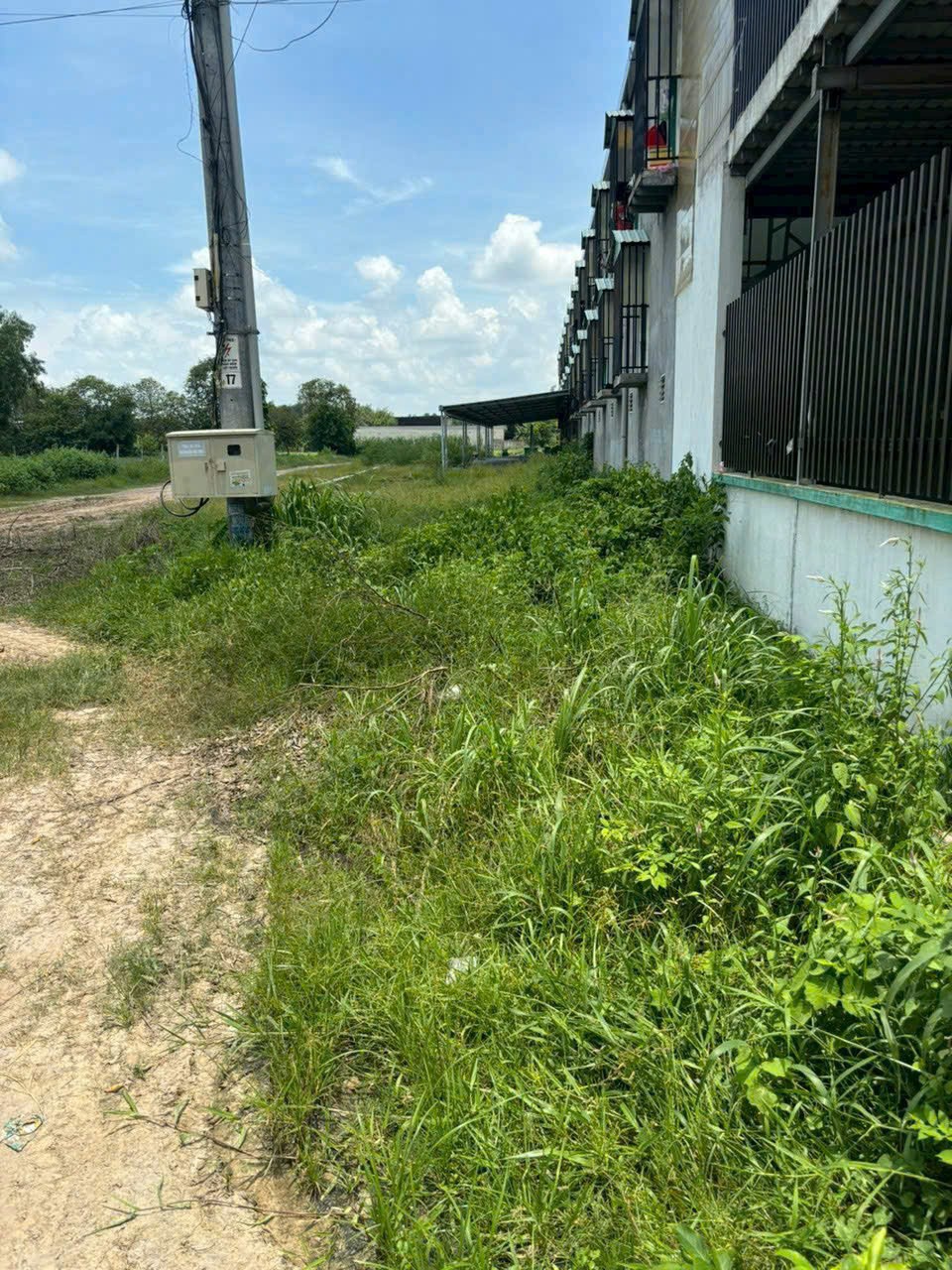 18220m2 đất (617m2 thổ cư) khu quy hoạch chuyển đổi SKC xã Lộc Giang, Đức Hòa giá 13,5 tỷ 5