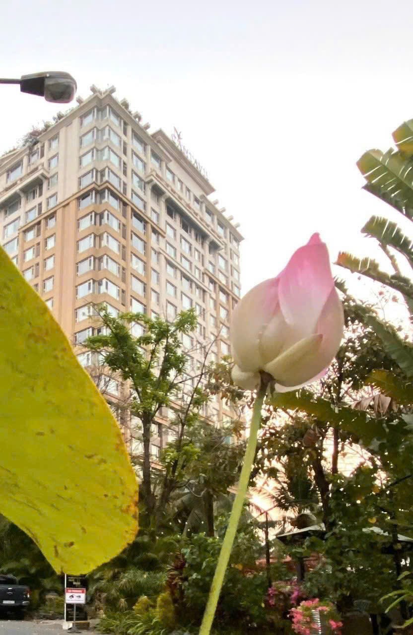 Cần bán Căn hộ chung cư Bình Thạnh, Hồ Chí Minh, Diện tích 154m², Giá 12.7 Tỷ 5