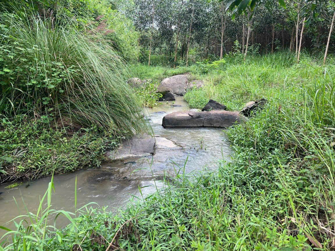 Cần bán Đất Xã Ninh Lộc, Ninh Hòa, Diện tích 1000m², Giá 210 Triệu