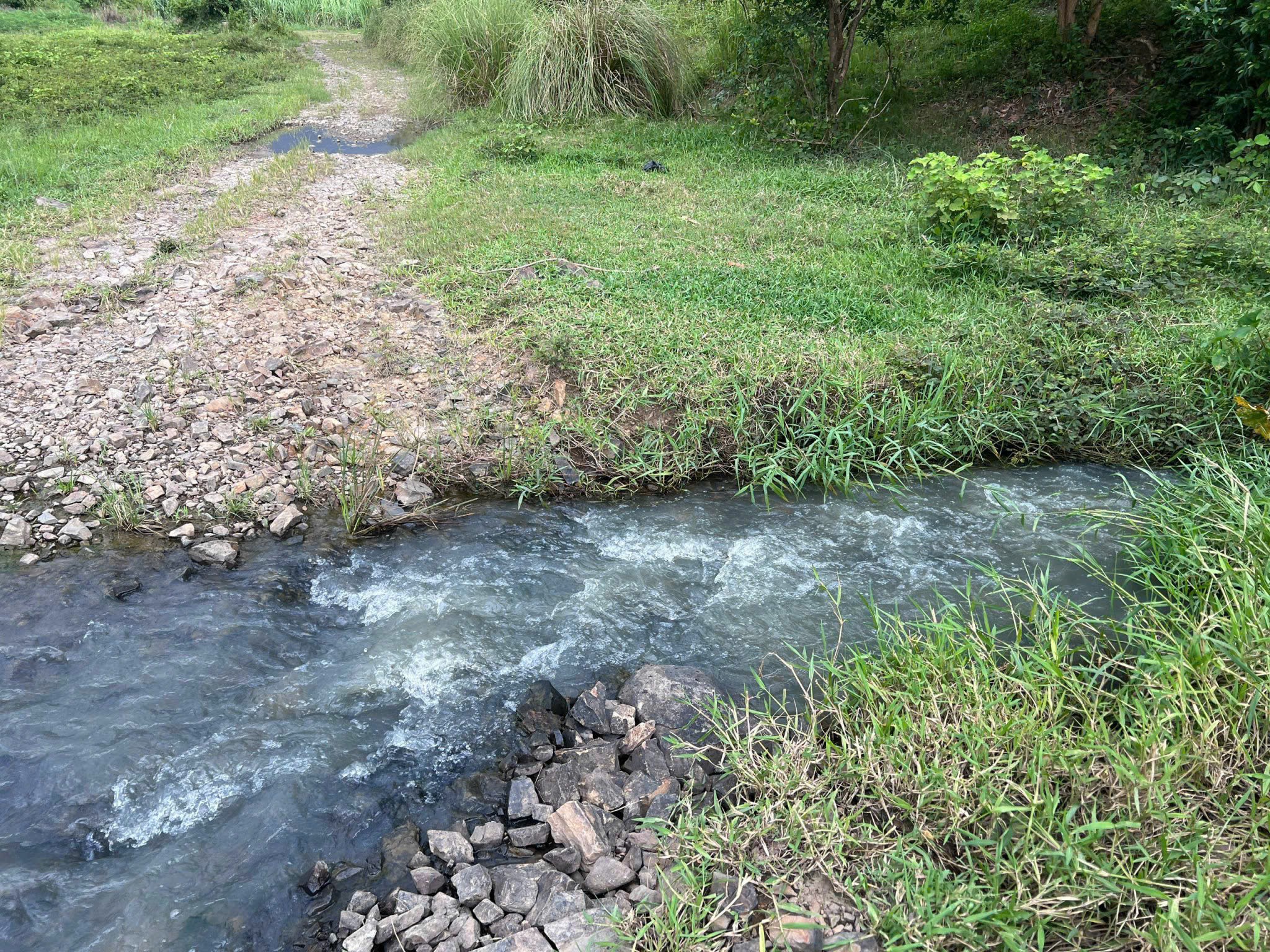 Cần bán Đất Xã Ninh Lộc, Ninh Hòa, Diện tích 1000m², Giá 210 Triệu 3