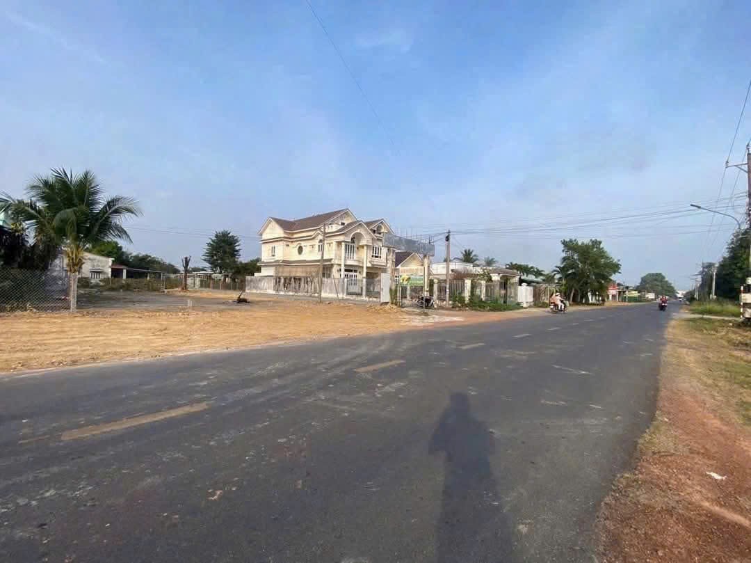 Siêu hot! Đất phân lô trung tâm Thạch Thành 150m², mặt tiền 5m, giá chỉ 200 triệu! 3