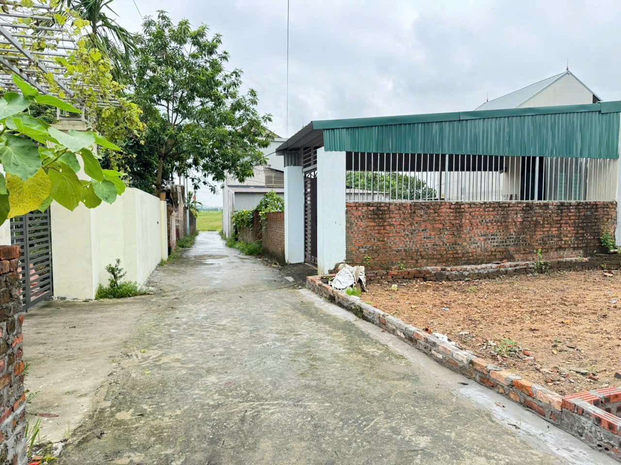 Bán đất Xuân Long, Tân Dân, Sóc Sơn. Gần chợ Nam Cương, gần đường quốc lộ 35 2