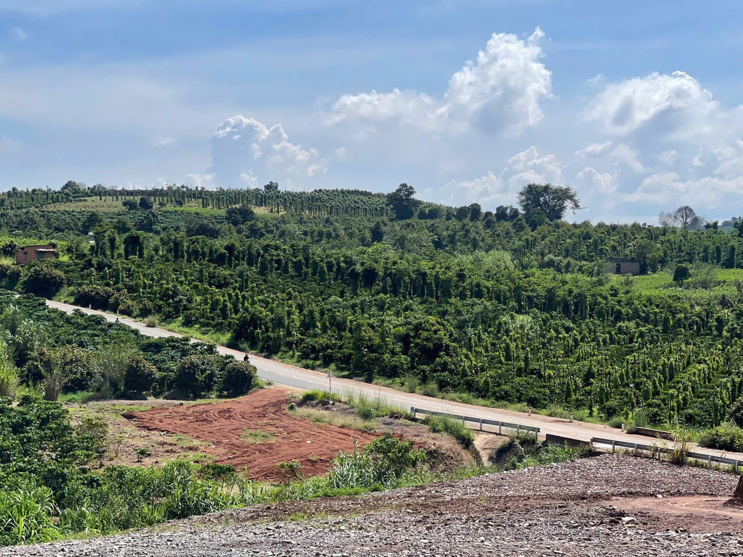 BÁN 1000m² ĐẤT ĐẸP – GIÁ 630 TRIỆU - Vị trí: Tân Hà, Lâm Hà, Lâm Đồng 5