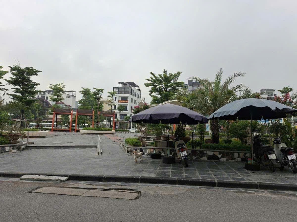 Bán đất Ngọc Thụy Long Biên, mặt phố kinh doanh 2