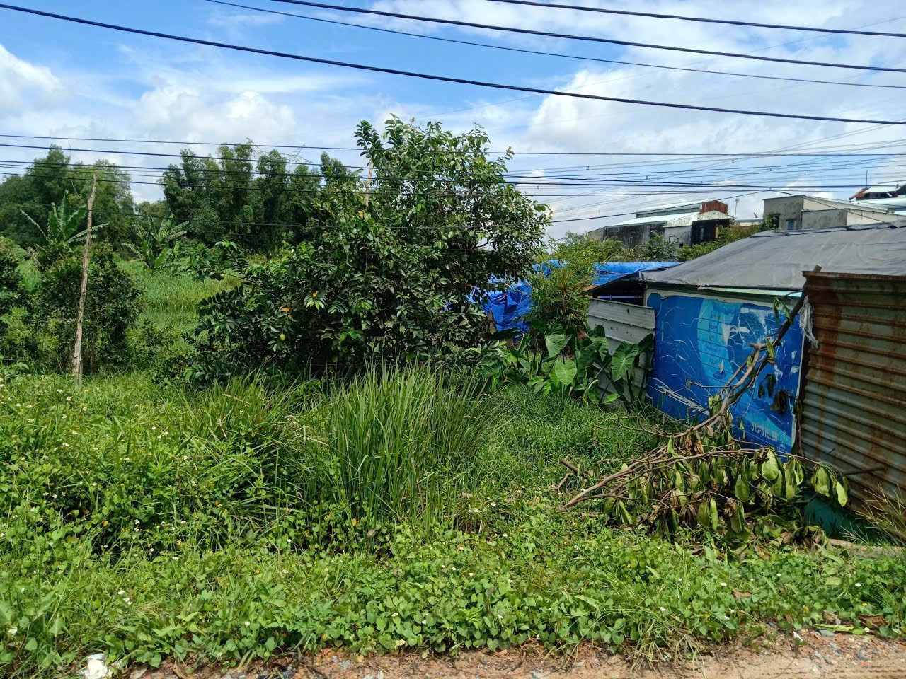 Cần bán Đất đường Kinh C, Xã Lê Minh Xuân, Diện tích 660m², Giá 3 Tỷ