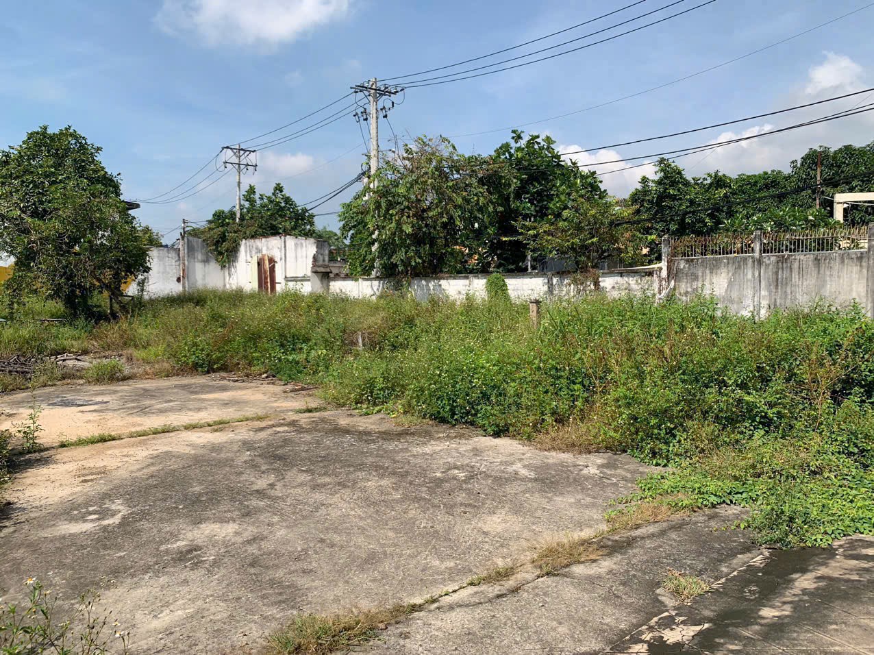 ĐẤT ĐẸP (37X77) ĐÔNG THẠNH 6-3, HÓC MÔN ĐƯỜNG NHỰA 8M CÓ VỈA HÈ 2