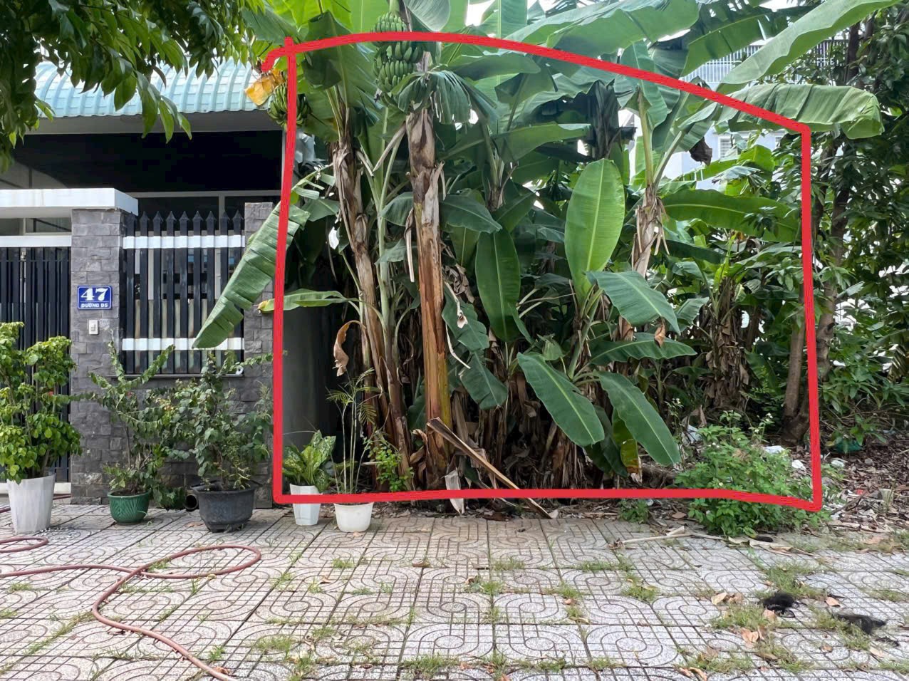 Cần bán Đất Phường Phước Long B, Quận 9, Diện tích 98m², Giá 010.6 Tỷ 3