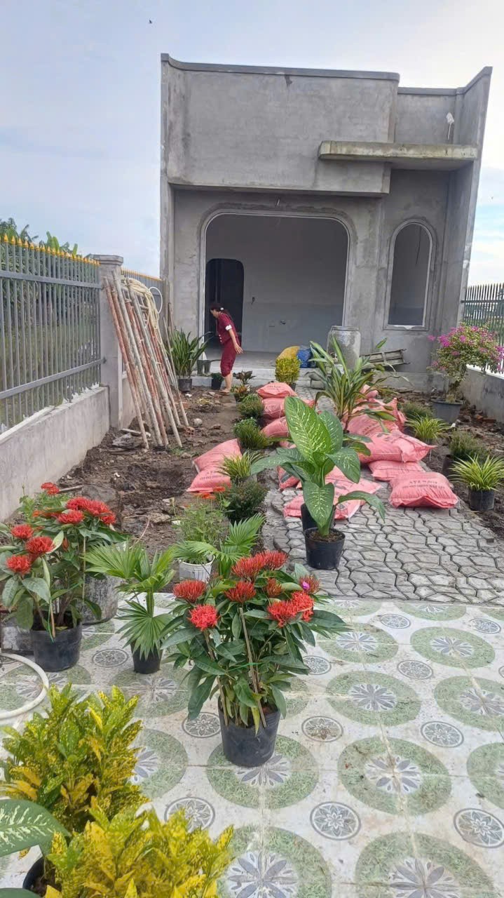 Nhà vườn sắp hoàn thiện xã Long Hòa, Cần Đước dt 341m2 full thổ giá 1,75 tỷ 4