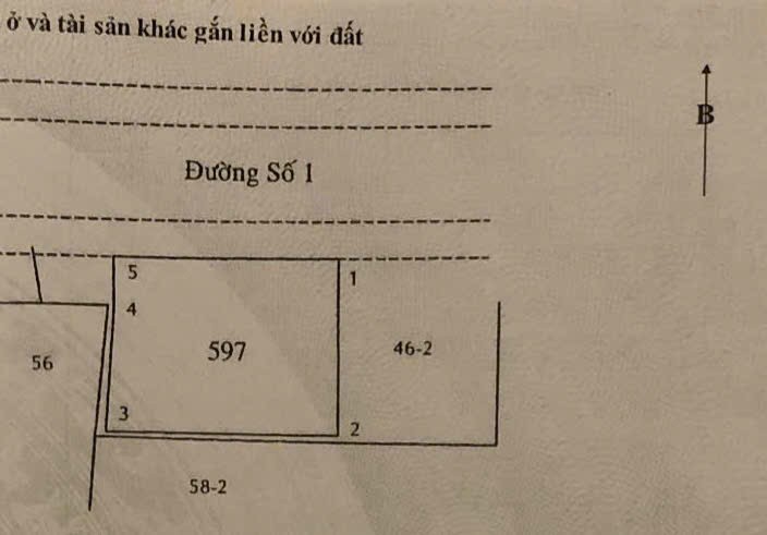 Cần bán Đất Quận 9, Hồ Chí Minh, Diện tích 212m², Giá 61 Triệu/m² 3