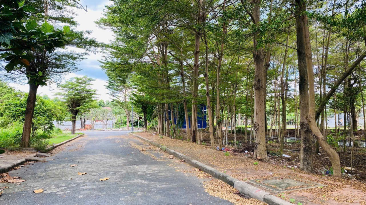 Cần bán Đất Phường Phước Long B, Quận 9, Diện tích 200m², Giá 80 Triệu/m²
