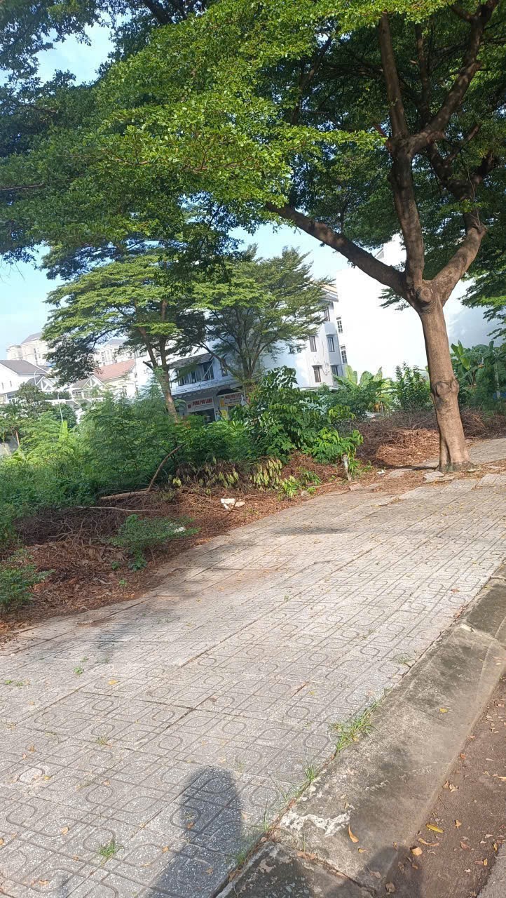 Cần bán Đất Phường Phước Long B, Quận 9, Diện tích 300m², Giá 95 Triệu/m² 5