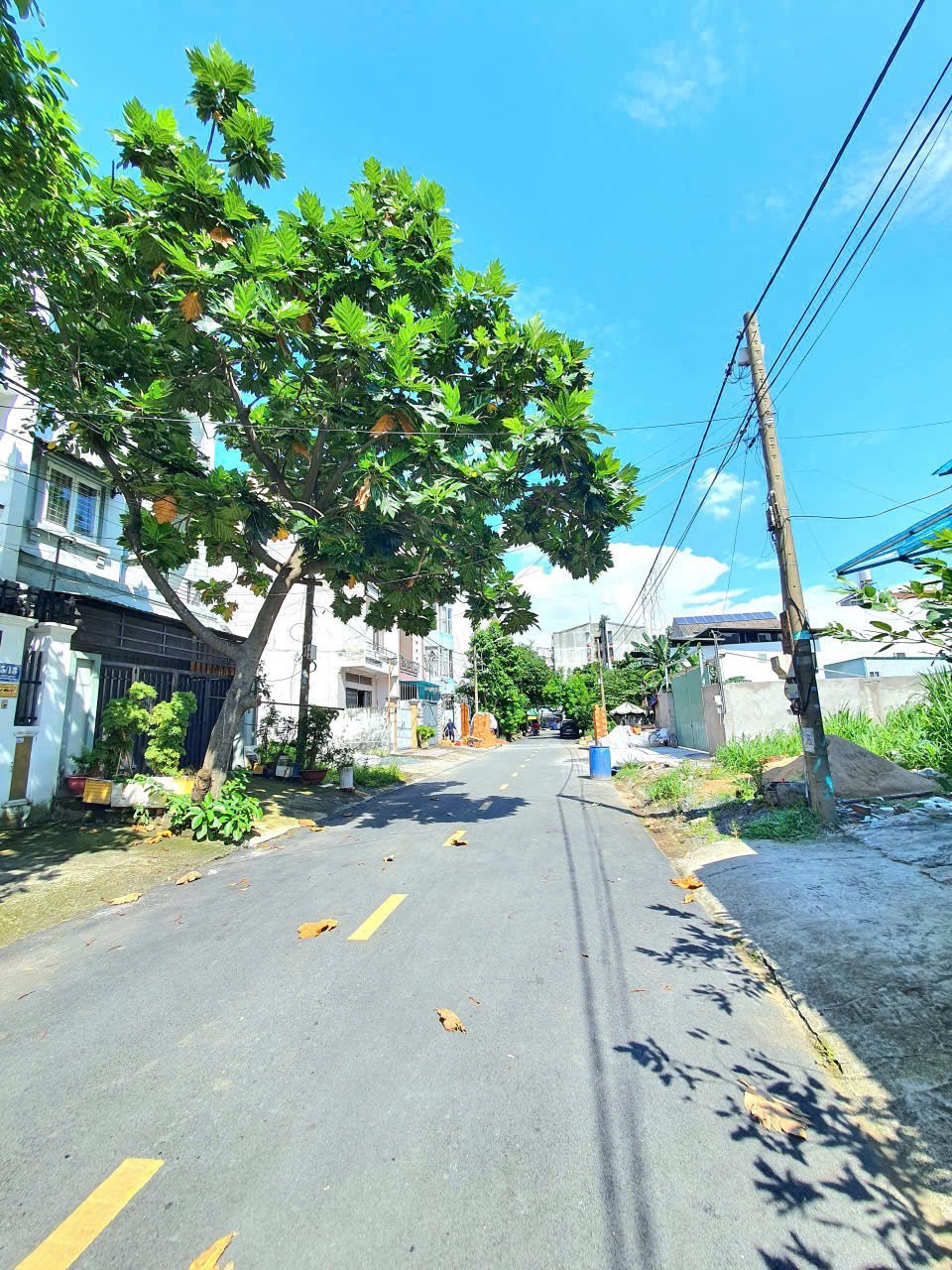 Cần bán Đất Phường Bình Trưng Đông, Quận 2, Diện tích 100m², Giá Thương lượng