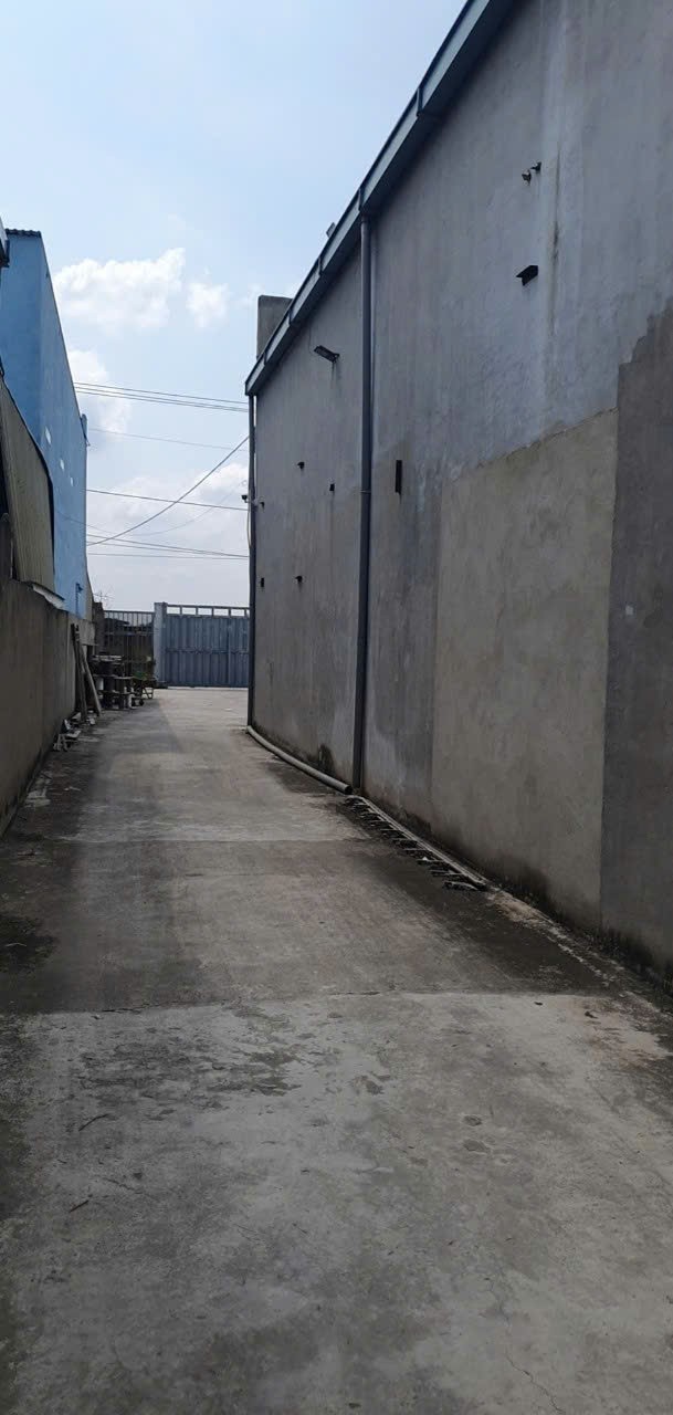 Nhà xưởng mặt tiền Tân Thạnh Đông tổng dt 1231m2 giá 12 tỷ 7