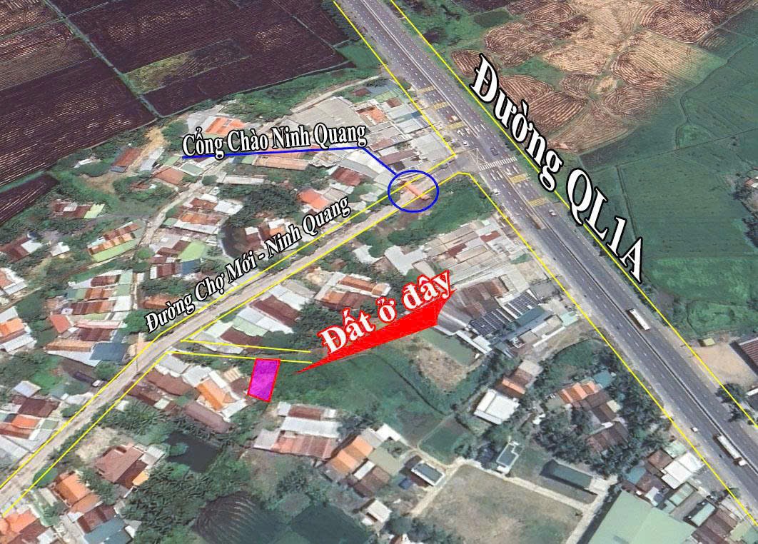 Cần bán Đất Xã Ninh Quang, Ninh Hòa, Diện tích 176m², Giá 799 Triệu 2