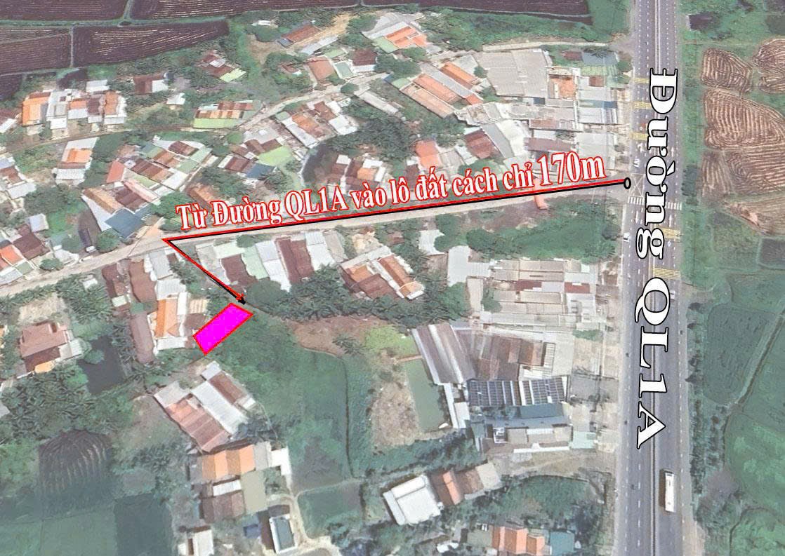 Cần bán Đất Xã Ninh Quang, Ninh Hòa, Diện tích 176m², Giá 799 Triệu 3